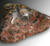 Leopardjaspis