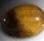 Tigeröga Cabochon